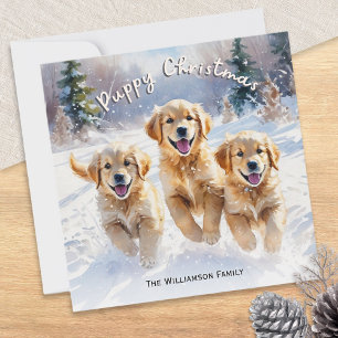 Golden Retriever Welpen im Schnee Weihnachten Welp