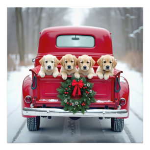 Golden Retriever Welpen im Weihnachtsverkehr Fotodruck