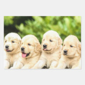 Golden Retriever Welpen in einer Reihe Geschenkpapier Set (Vorderseite 3)