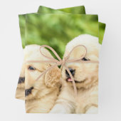 Golden Retriever Welpen in einer Reihe Geschenkpapier Set (Beispiel)