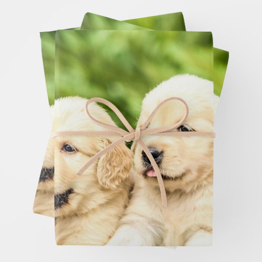 Golden Retriever Welpen in einer Reihe Geschenkpapier Set (Beispiel)