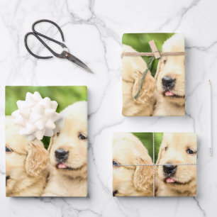 Golden Retriever Welpen in einer Reihe Geschenkpapier Set