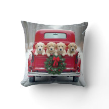 Golden Retriever Welpen in Red Truck