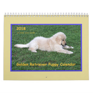 Golden retriever-Welpen-Kalender 2018 Kalender