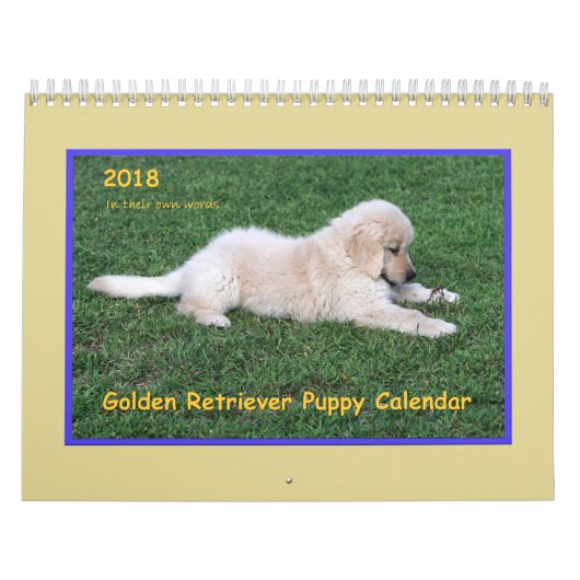 Golden retriever-Welpen-Kalender 2018 Kalender (Titelbild)