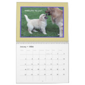 Golden retriever-Welpen-Kalender 2018 Kalender (Jan 2026)