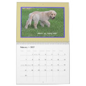 Golden retriever-Welpen-Kalender 2018 Kalender (Feb 2027)