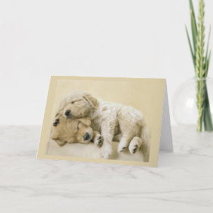 Golden Retriever Welpen Karte