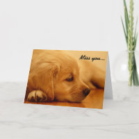 Golden retriever-Welpen-Melancholie I