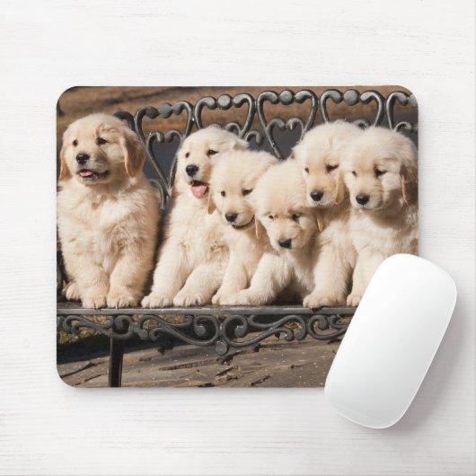Golden retriever-Welpen Mousepad (Mit Mouse)