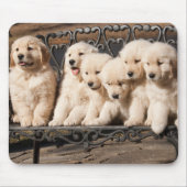 Golden retriever-Welpen Mousepad (Vorne)