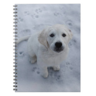 Golden retriever-Welpen-Notizblock Notizblock