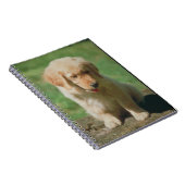 Golden retriever-Welpen-Notizbuch Notizblock (Rechte Seite)