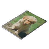 Golden retriever-Welpen-Notizbuch Notizblock (Linke Seite)