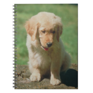 Golden retriever-Welpen-Notizbuch Notizblock