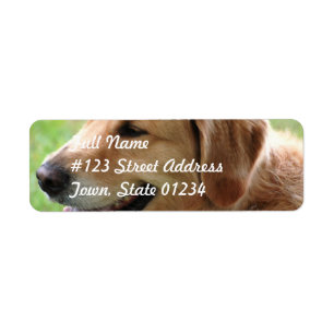 Golden retriever-Welpen-Postsendung-Aufkleber
