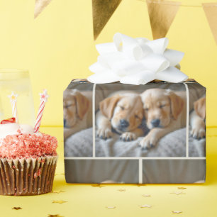Golden Retriever Welpen Schlafen Geschenkpapier
