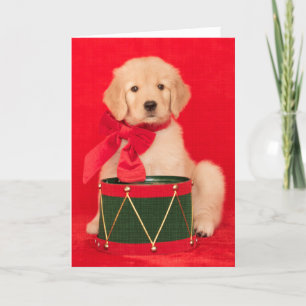 Golden retriever-Welpen-Schlagzeuger-Junge Feiertagskarte