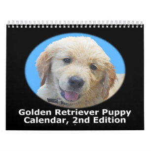 Golden retriever-Welpen-Wandkalender Kalender