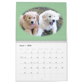 Golden retriever-Welpen-Wandkalender Kalender (Mär 2026)