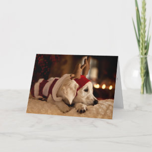 Golden retriever-Welpen-Weihnachten u. neue Jahre Feiertagskarte