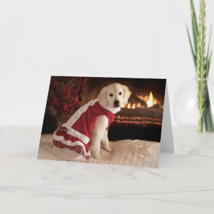Golden retriever-Welpen-Weihnachten u. neue Jahre Feiertagskarte