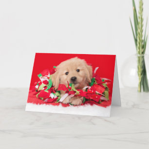 Golden Retriever Welpen Weihnachtskarte Karte