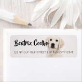 Golden Retriever Welpenhund als dekorativer Schlic (Insitu)