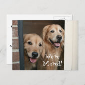 Golden Retriever Wir haben eine neue Adresse versc Ankündigungspostkarte (Vorne/Hinten)