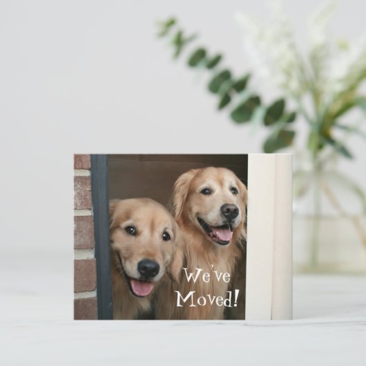 Golden Retriever Wir haben eine neue Adresse versc Ankündigungspostkarte (Stehend Vorderseite)