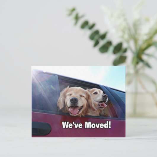Golden Retriever Wir haben eine neue Adresse versc Ankündigungspostkarte (Stehend Vorderseite)