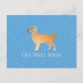 Golden Retriever wird bald wieder gesund Postkarte (Vorderseite)