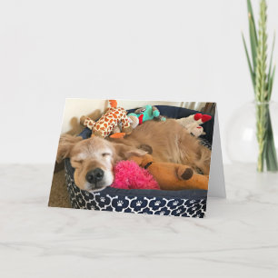 Golden Retriever, wo Ihre Träume Sie mitbringen Karte