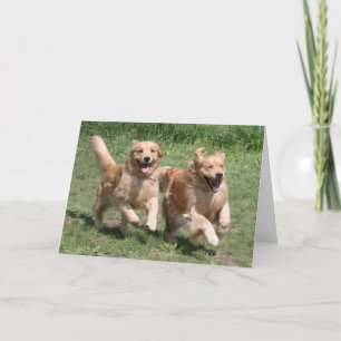 Golden Retriever Wo ist die Party? Karte