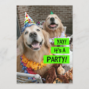 Golden Retriever Yay Es ist eine Party Einladung