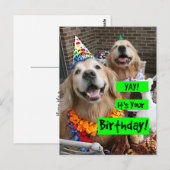 Golden Retriever Yay Ihren Geburtstag Postkarte (Vorne/Hinten)