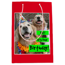 Golden retriever Yay sein Ihr Geburtstag Mittlere Geschenktüte