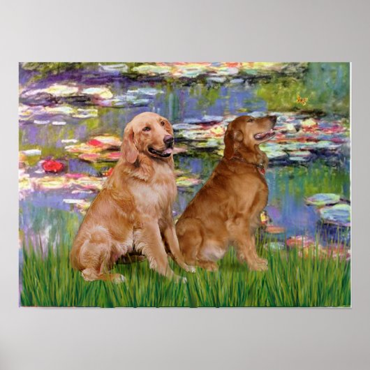 Golden Retriever (zwei) - Lilies 2 Poster (Vorne)