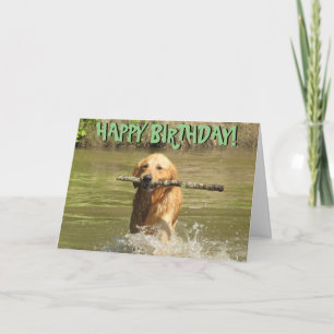 Golden retrievergeburtstagskarte karte