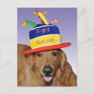 Golden retrievergeburtstagskuchen-Hutpostkarte Postkarte