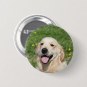 Golden retrieverHeadshot 1 Button (Vorne & Hinten)