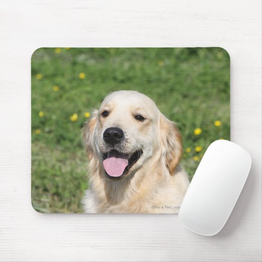 Golden retrieverHeadshot 1 Mousepad (Mit Mouse)