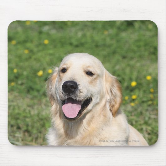 Golden retrieverHeadshot 1 Mousepad (Vorne)