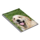 Golden retrieverHeadshot 1 Notizblock (Rechte Seite)