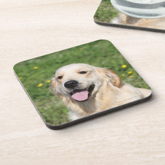 Golden retrieverHeadshot 1 Untersetzer (Linke Seite)