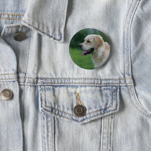 Golden retrieverHeadshot 2 2 Button (Beispiel)