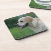 Golden retrieverHeadshot 2 2 Getränkeuntersetzer (Linke Seite)