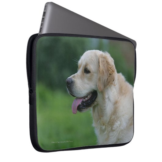 Golden retrieverHeadshot 2 2 Laptopschutzhülle (Vorne Rechts)