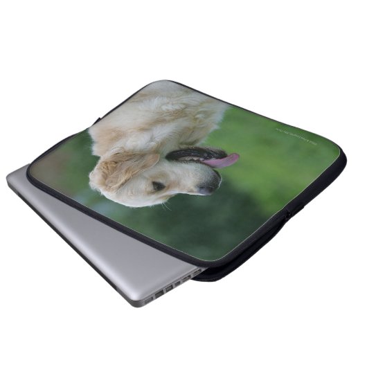 Golden retrieverHeadshot 2 2 Laptopschutzhülle (Vorne Knopf)