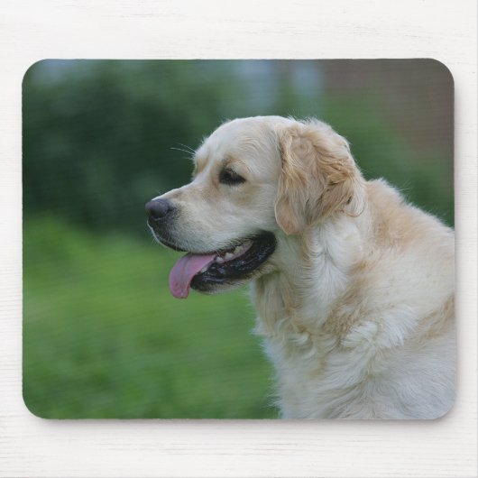 Golden retrieverHeadshot 2 2 Mousepad (Vorne)